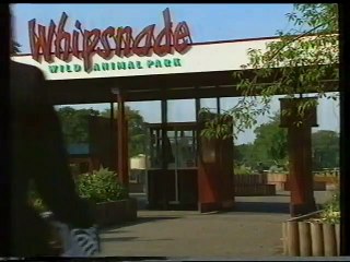 Brum hrvatska sinhronizacija