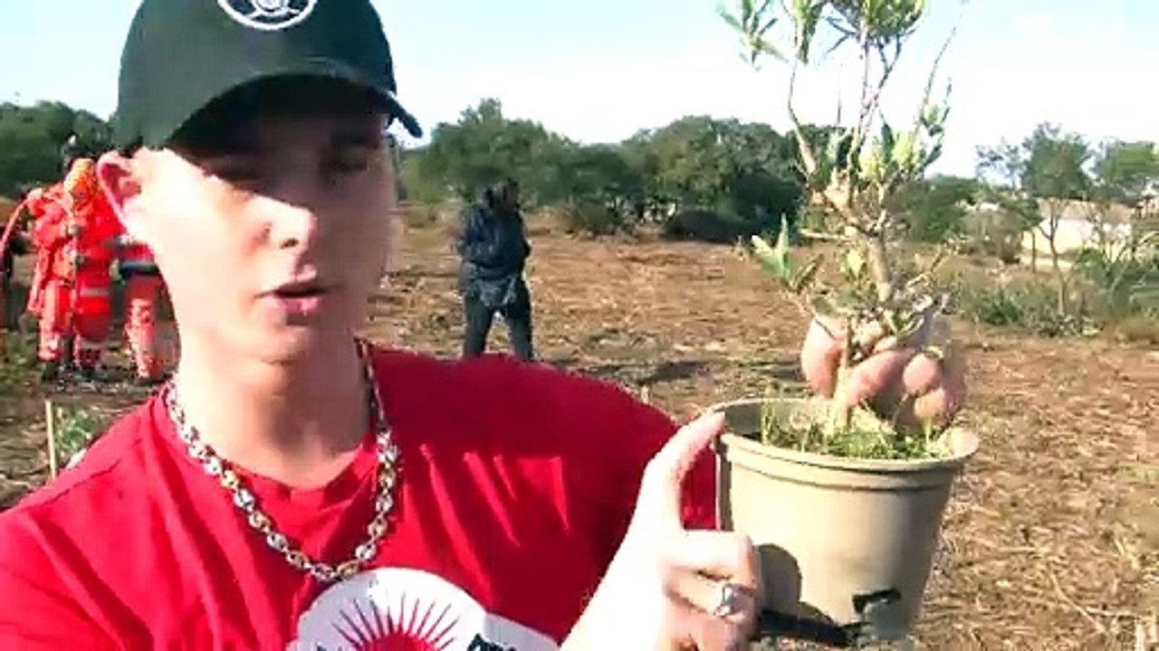 Fos-sur-Mer : on a planté 700 arbres en famille et entre amis