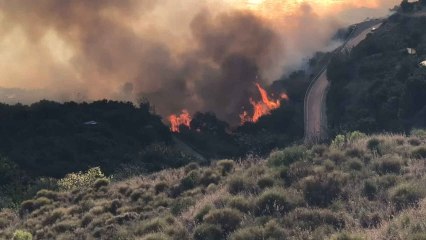 Vídeo del incendio declarado en el paraje natural de Maro, en Málaga