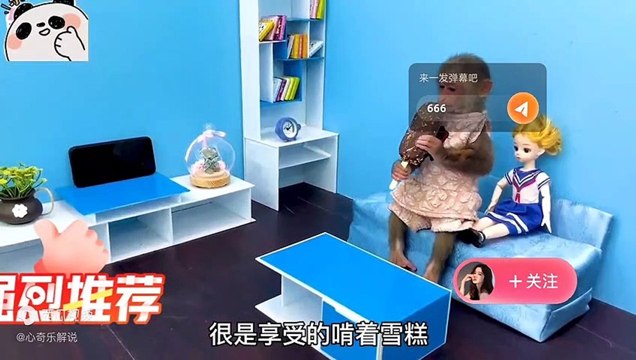 国外聪明小猴子，带着好朋友小鸭子捉迷藏，还会用洗衣机洗衣服