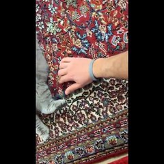 Funny Cats  - Don't Try To Stop Laughing  - Funniest Cats Ever