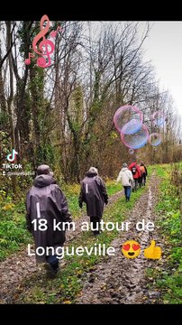 Petit résumé de notre rando autour de Longueville avec Chantal
