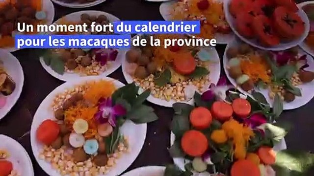 Thaïlande : les singes, invités d'honneur, lors d'un festival de fruits