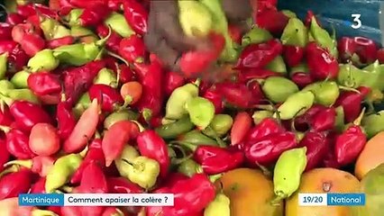 Martinique : la visite du ministre des Outre-mer dans les Antilles peut-elle apaiser la colère ?