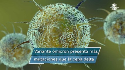 Primera "imagen" de ómicron revela que tiene muchas más mutaciones que delta