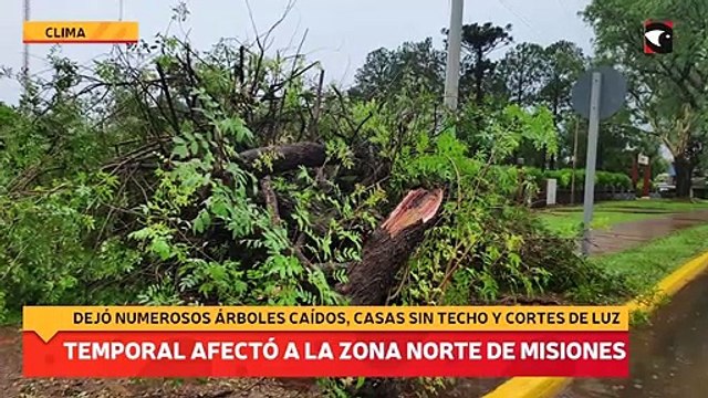 Un fuerte temporal afectó a la zona Norte de Misiones dejando numerosos árboles caídos, casas sin techo y cortes de luz