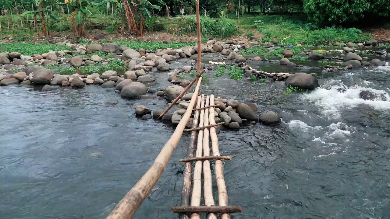 A Bamboo Bridge at a River