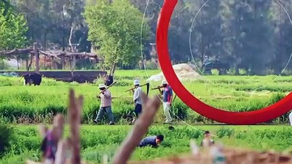 ...أمر مثير للاهتمام ....