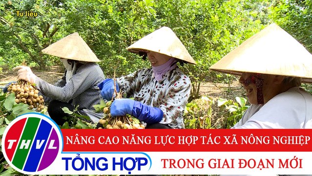 Nông nghiệp bền vững: Nâng cao năng lực hợp tác xã nông nghiệp trong giai đoạn mới