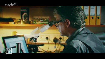 Kripo live -Der Krimi um die Himmelsscheibe von Nebra