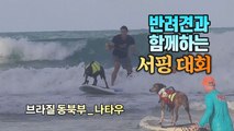 [#세상만사] 반려견과 함께 하는 서핑 대회 / YTN