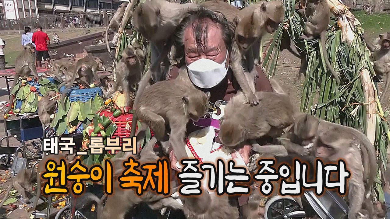 [#세상만사] 2년 만에 열린 태국 원숭이 축제 / YTN