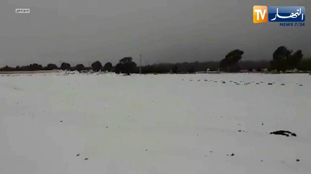 سيدي بلعباس: بلدية الضاية تكتسي الحلة البيضاء