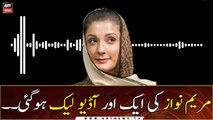 Another alleged audio of Maryam Nawaz leaks