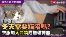 冬季打電玩需要貓咪陪伴嗎？衣服口袋加大成擼貓神器