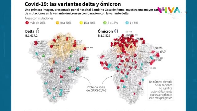 Ini Gambar Pertama Varian Omicron yang Bikin Dunia Khawatir