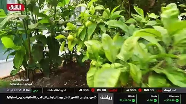 ...هم هنا يقضون كل يومهم في قصر امبراطوري ....