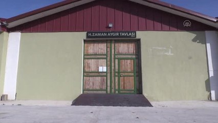 ESKİŞEHİR - TİGEM'in şampiyon atlarına kariyerlerine yakışır bakım