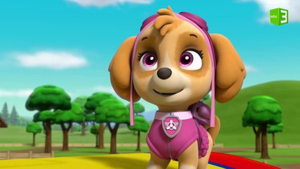 الجراء تستعد لمفاجأة صديقتهم بعيد ميلادها