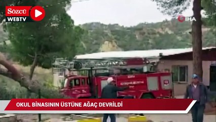 Okul binasının üstüne ağaç devrildi