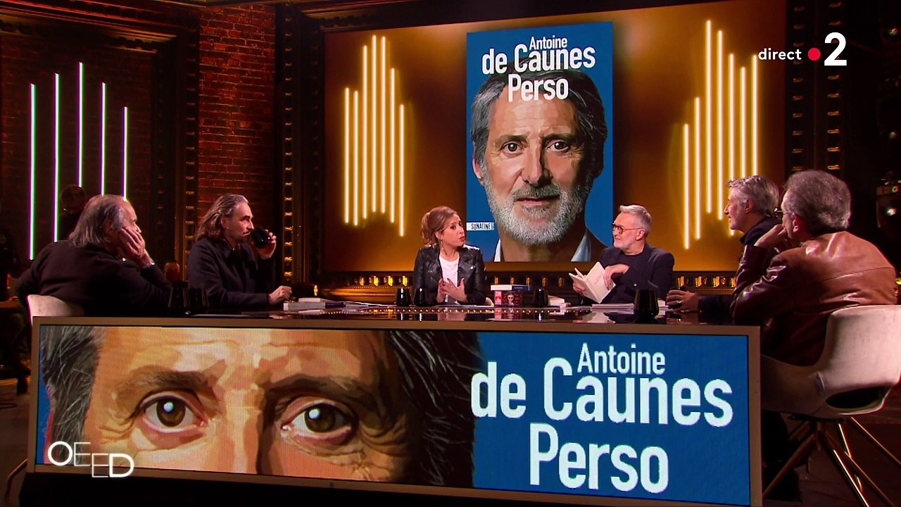 Antoine de Caunes dans "On est en direct" sur France 2