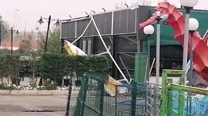 Dev dalgalar caddeleri denizanasıyla doldurdu