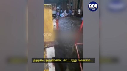 தொடர் கனமழை எதிரொலி: குற்றால அருவிகளில் காட்டாற்று வெள்ளம்!