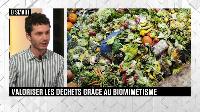 Valoriser les déchets grâce au biomimétisme 