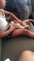 Perobal garotinha de 4 anos está desolada com sumiço de cachorrinha de estimação