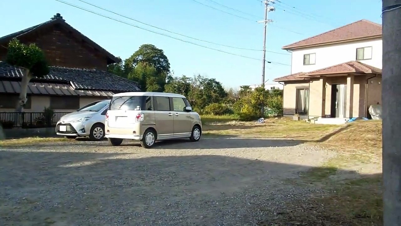 Odd Happening in Japan