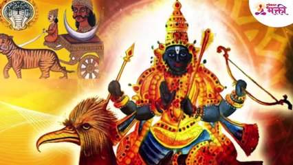 ही 5 झाड तुमच्या दारात नक्की लावा, लक्ष्मीची होईल कृपा