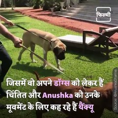 Bollywood Stars Who Says No to Fire Crackers On Diwali