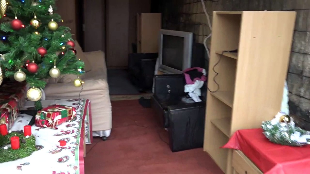 Ungarns Feuerwehr mit 'heisser' Vorführung