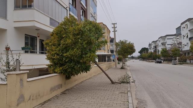Fırtına İzmir'de ağaçları kökünden söktü, çatıları uçurdu