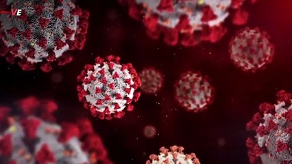 As US, UK and the EU Issue Omicron Variant Travel Bans Many Are Stranded in South Africa