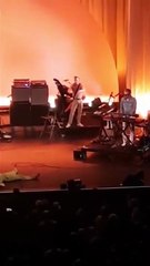 Catherine Ringer s'écroule sur scène pendant un concert