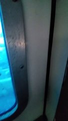 Seagulls Flock Over Fisherman