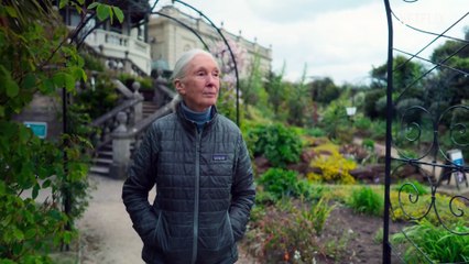 Stories of a Generation with Pope Francis - Official Trailer Netflix