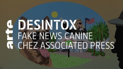 Fake news canine chez Associated Press | Désintox | ARTE
