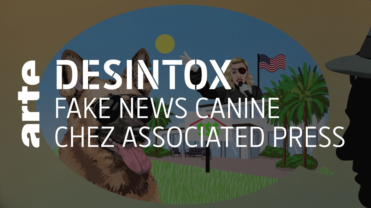 Fake news canine chez Associated Press | Désintox | ARTE
