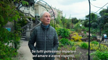 Stories of a Generation (Trailer Ufficiale HD)