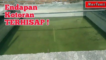 Kotoran ikan terhisap! Bentuk Bagian Dasar Kolam Semen