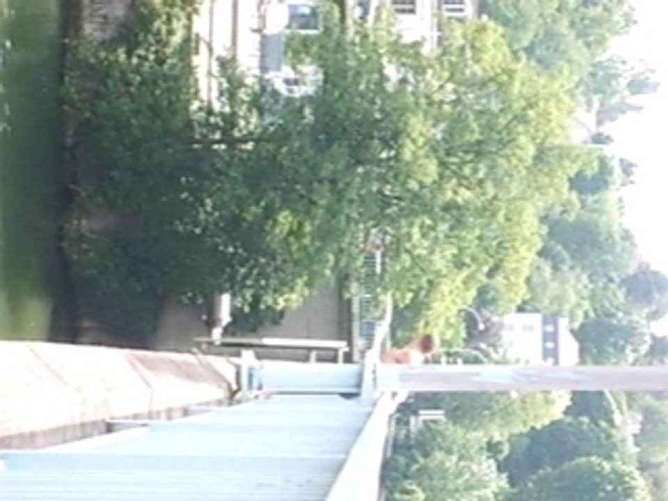 homme qui saute dans la Seine