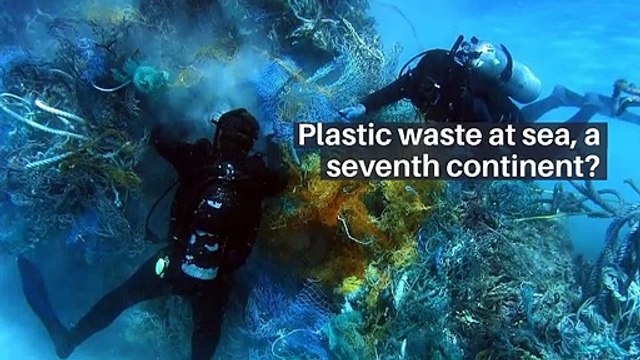 Stars unexpectedly survive destruction by supermassive black holes