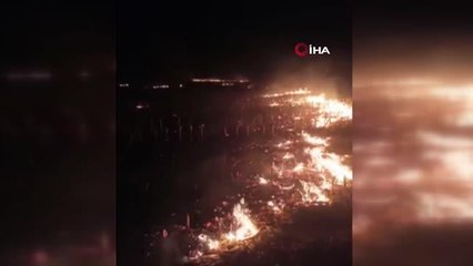 Düzce'de anız yangını orman yangınına dönüştü