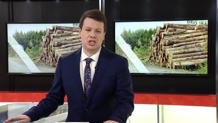 TVA Nouvelles CHAU 12h 29 novembre 2021