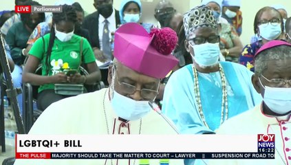 LGBTQ + Bill: Committee probes memoranda - The Pulse on JoyNews (29-11-21)