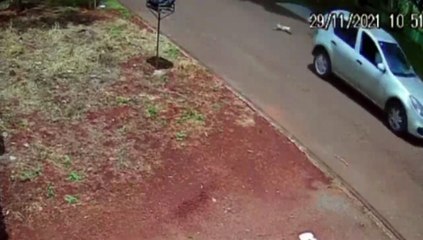 Vídeo: carro em alta velocidade atropela cachorro e foge