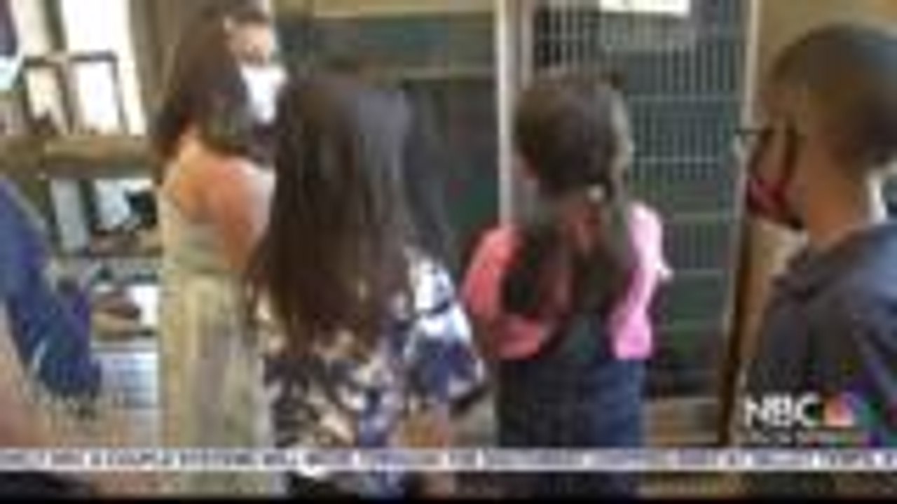 PS SHELTER DONATION