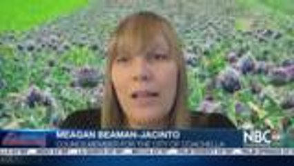 Why are city meetings in Coachella being canceled?